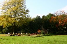 Herbst-Friedhof 016.jpg